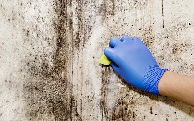 cleaning mold cleaning mold