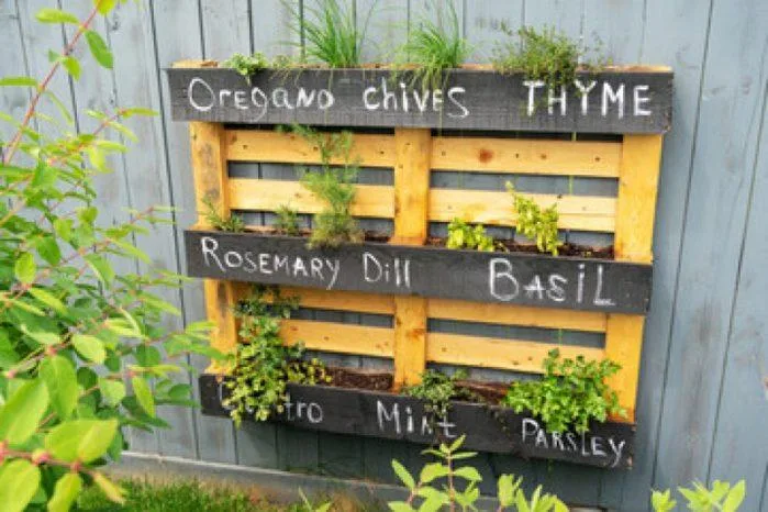 Pallet Herb Grower Pallet Herb Grower