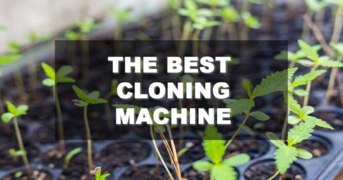 Best Cloning Machine