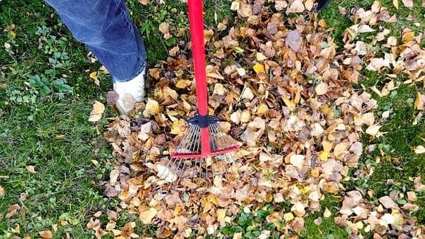 leaf raking