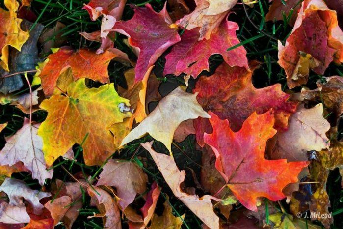Get Your House Ready For Fall And Winter