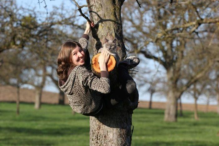 How to climb trees
