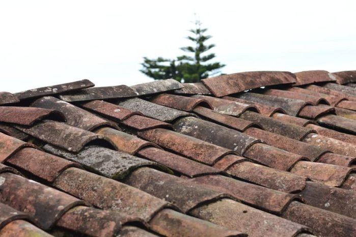 roof shingles