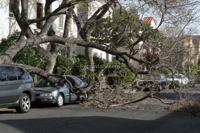 Tree Falls On House