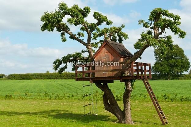 Building A Tree House