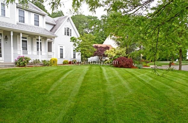 landscaped home