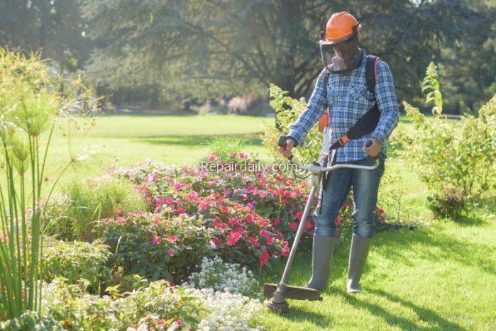 backyard maintenance