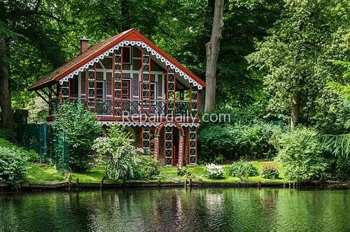 pond backyard