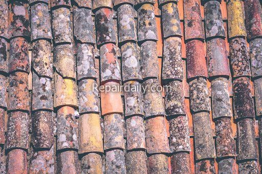 roof cleaning