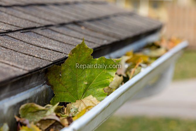 roof gutter leaves