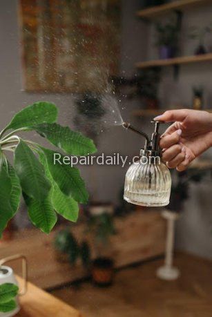 watering plants