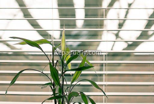 window plant