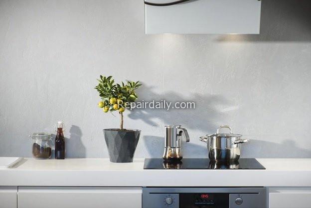 kitchen countertop plant