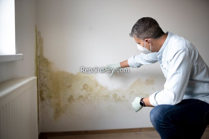 man inspecting mold