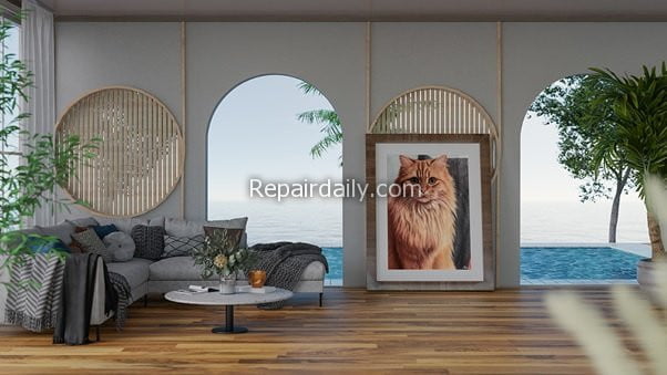 cat portrait living room
