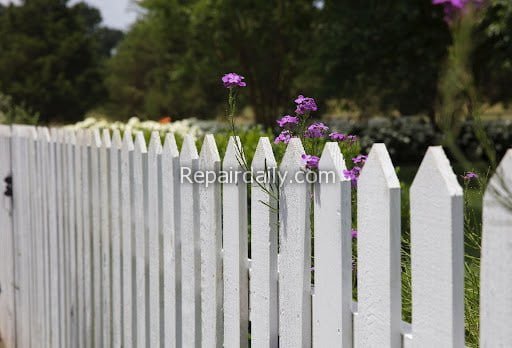 fence lawn
