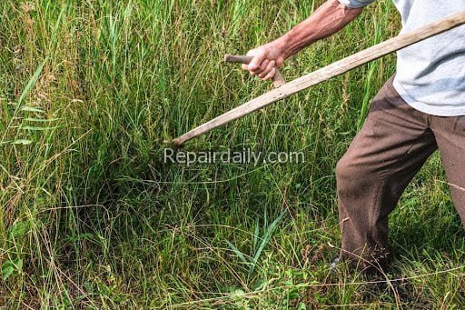 land repair cleaning