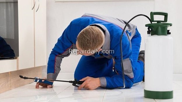 pest control expert