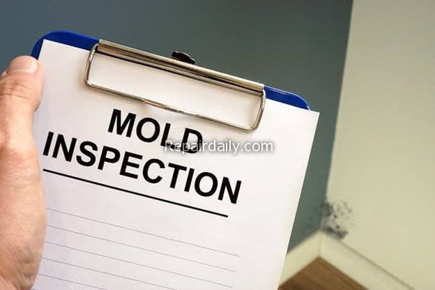 mold inspection paper
