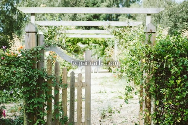 backyard door