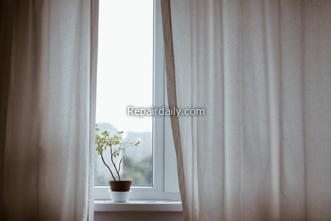 curtains plant window