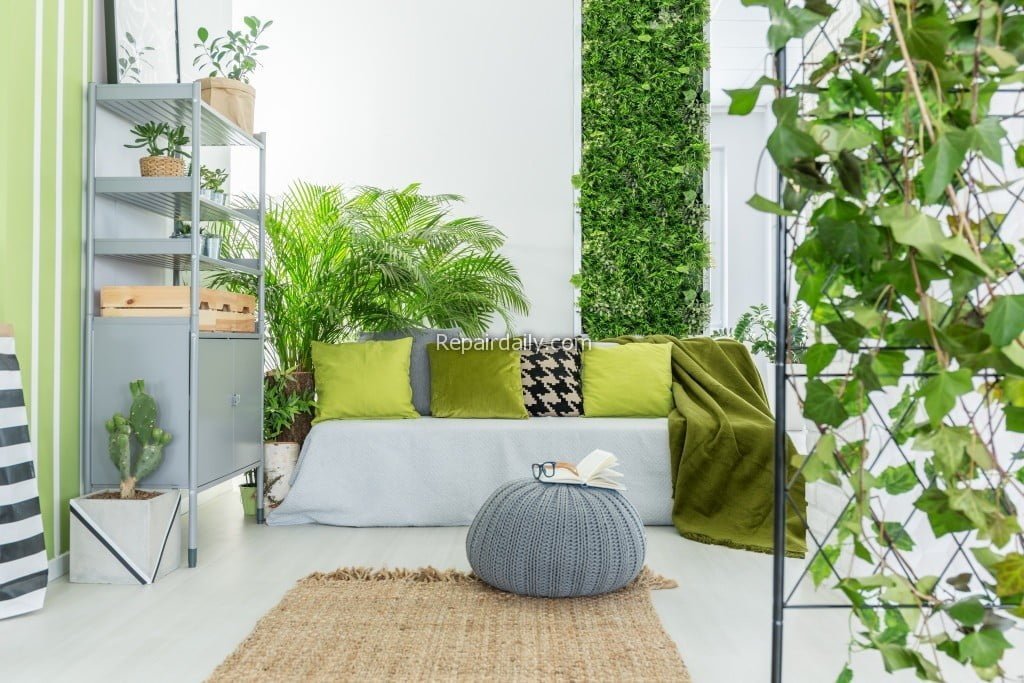 room with plants
