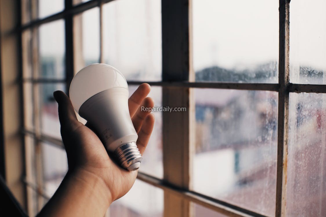 light bulb on hands