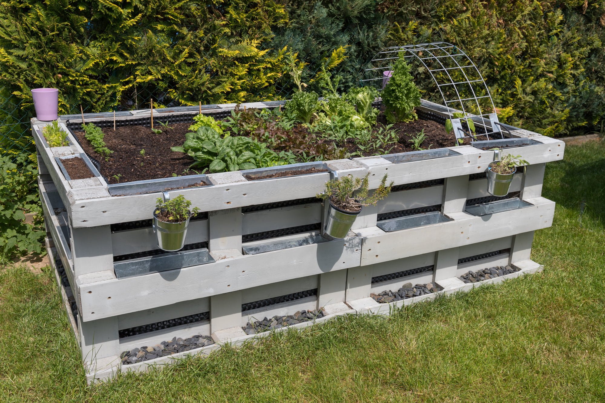 planted raised bed in a garden in springtime