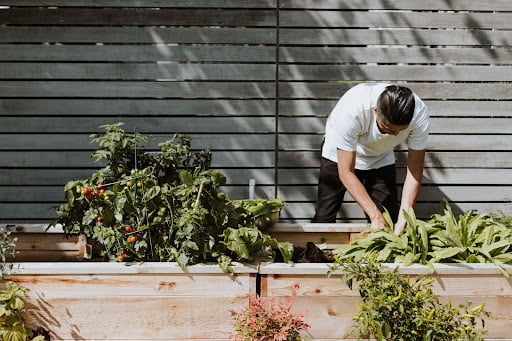 man gardening plants