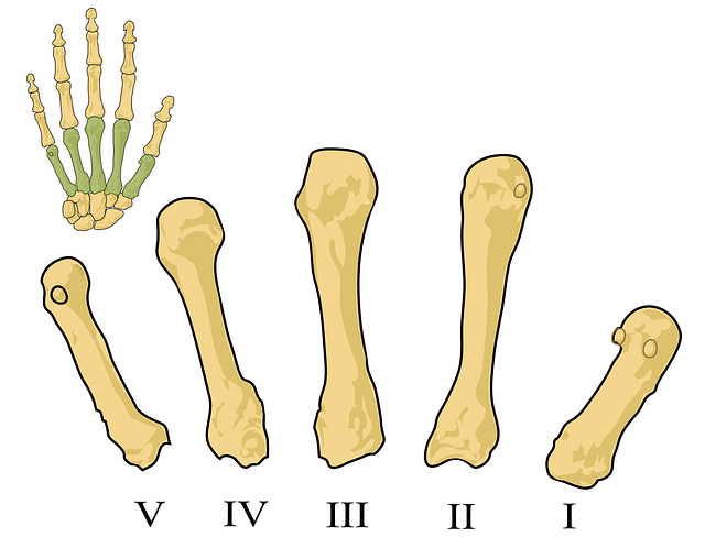 Osteoporosis