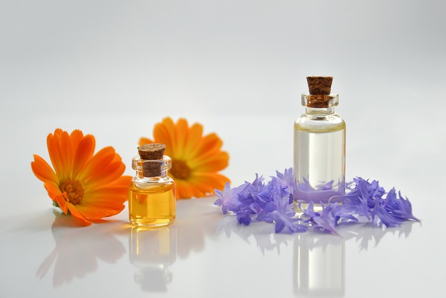 Eucalyptus Essential Oil Can Transform Your Home