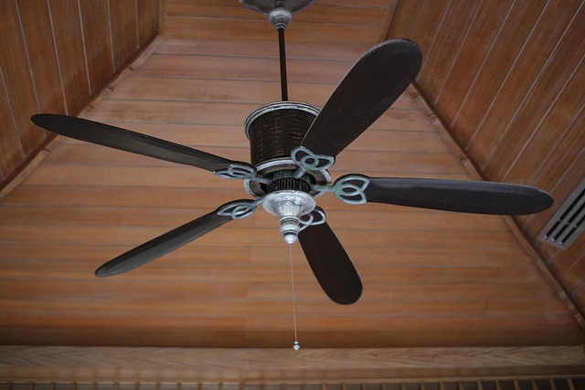 Wood Ceiling Fans