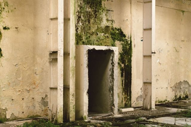 Basement Leak Repair Methods for Damp Concrete Block Walls