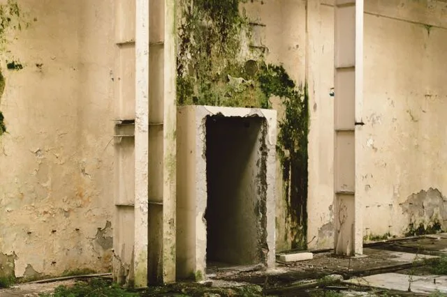 Basement Leak Repair Methods for Damp Concrete Block Walls