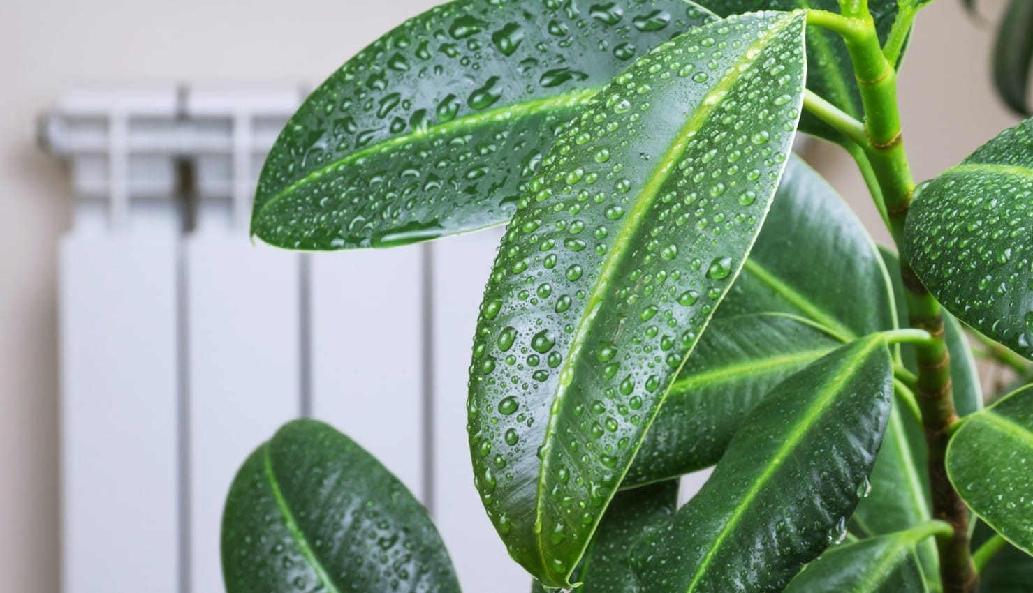 How Humidity Affects Your HVAC How Humidity Affects Your HVAC