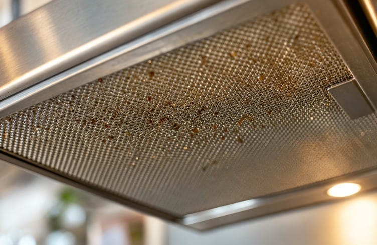 A Healthier Home: A Room-by-Room Plan for Cleaner Indoor Air