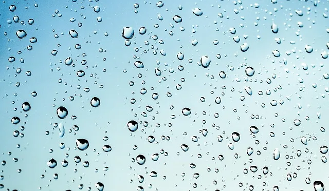 Condensation on Your Windows This Winter When Its Normal and When Its a Problem Condensation on Your Windows This Winter When Its Normal and When Its a Problem